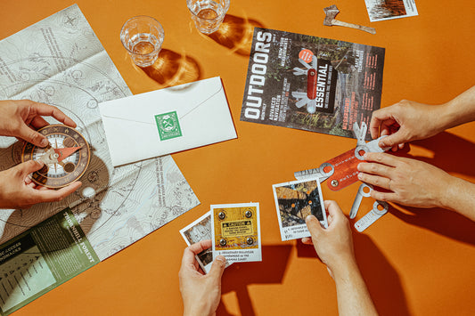 Chapter VIII: Thornhill Forest