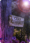 Camp Moonforest